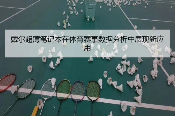 戴尔超薄笔记本在体育赛事数据分析中展现新应用