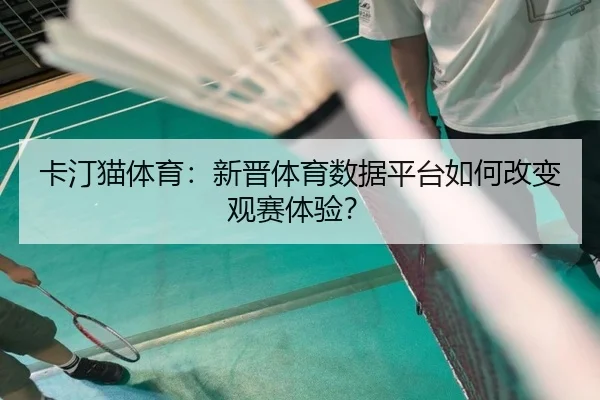卡汀猫体育：新晋体育数据平台如何改变观赛体验？